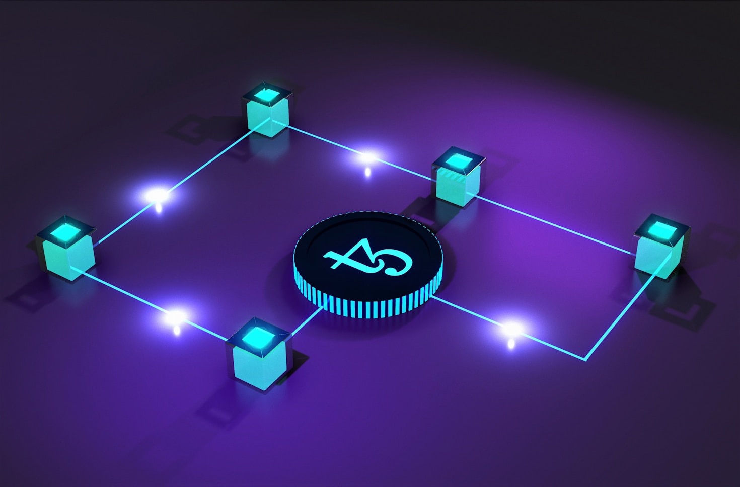 Step-by-Step Guide to Bio Data Management